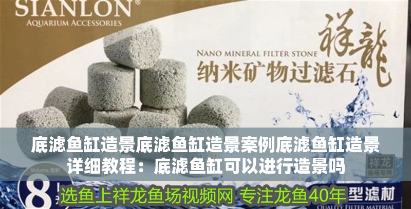 底濾魚缸造景底濾魚缸造景案例底濾魚缸造景詳細教程：底濾魚缸可以進行造景嗎