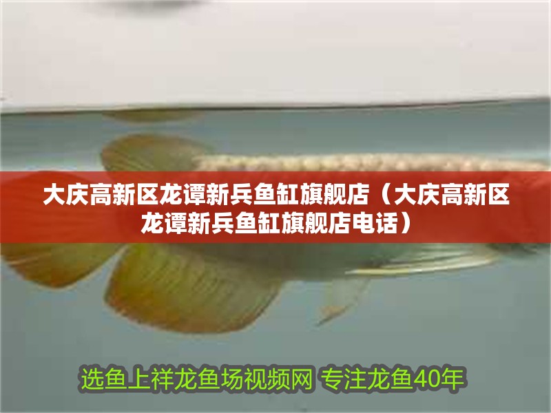 大慶高新區(qū)龍譚新兵魚缸旗艦店（大慶高新區(qū)龍譚新兵魚缸旗艦店電話）