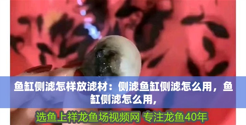 魚缸側濾怎樣放濾材：側濾魚缸側濾怎么用，魚缸側濾怎么用,