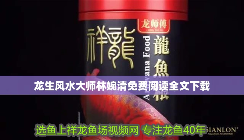 龍生風水大師林婉清免費閱讀全文下載