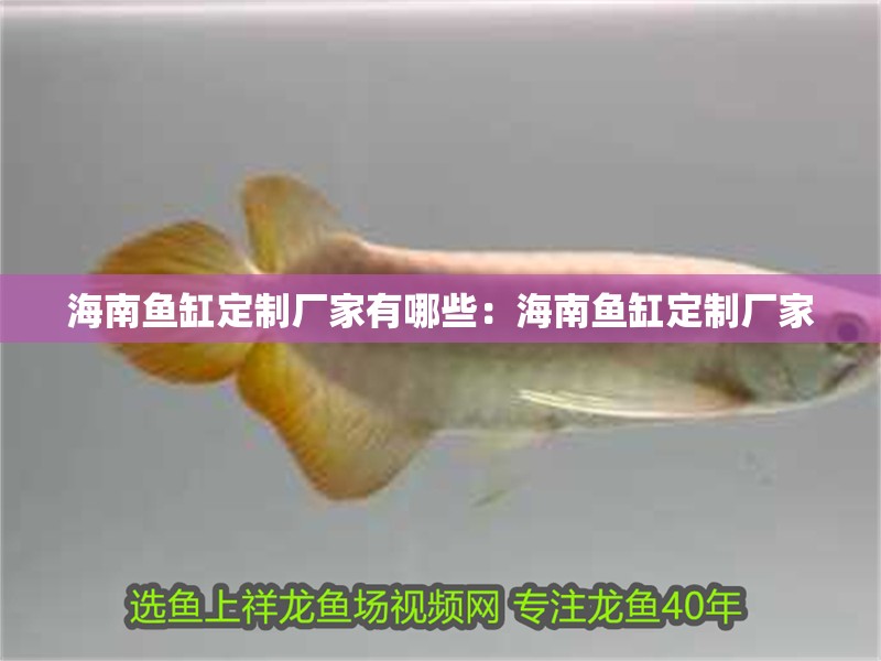 海南魚缸定制廠家有哪些：海南魚缸定制廠家
