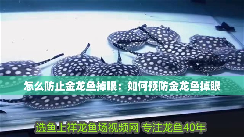 怎么防止金龍魚(yú)掉眼：如何預(yù)防金龍魚(yú)掉眼