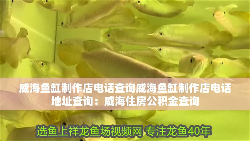 威海魚缸制作店電話查詢威海魚缸制作店電話地址查詢：威海住房公積金查詢