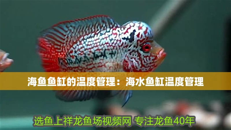 海魚魚缸的溫度管理：海水魚缸溫度管理