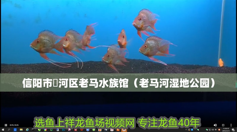 信陽市浉河區老馬水族館（老馬河濕地公園）