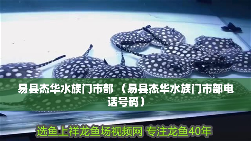 易縣杰華水族門市部 （易縣杰華水族門市部電話號碼）