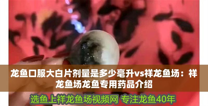 龍魚口服大白片劑量是多少毫升vs祥龍魚場：祥龍魚場龍魚專用藥品介紹