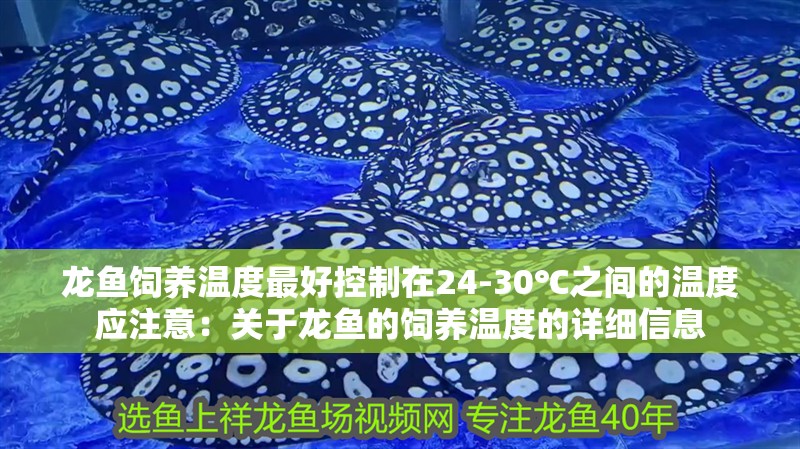 龍魚飼養溫度最好控制在24-30℃之間的溫度應注意：關于龍魚的飼養溫度的詳細信息