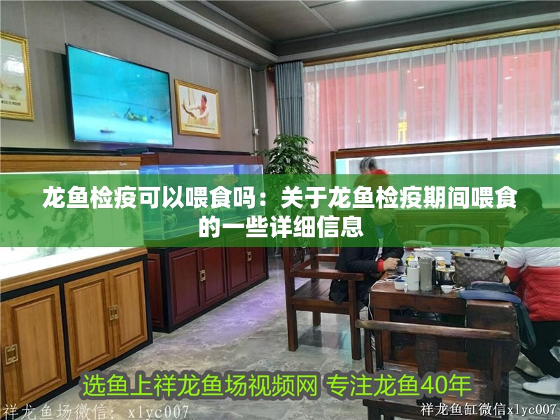 龍魚檢疫可以喂食嗎：關于龍魚檢疫期間喂食的一些詳細信息