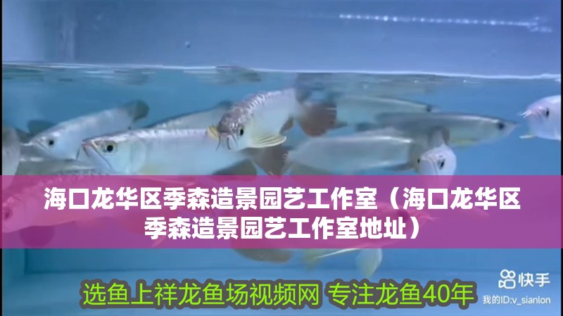 海口龍華區季森造景園藝工作室（海口龍華區季森造景園藝工作室地址）