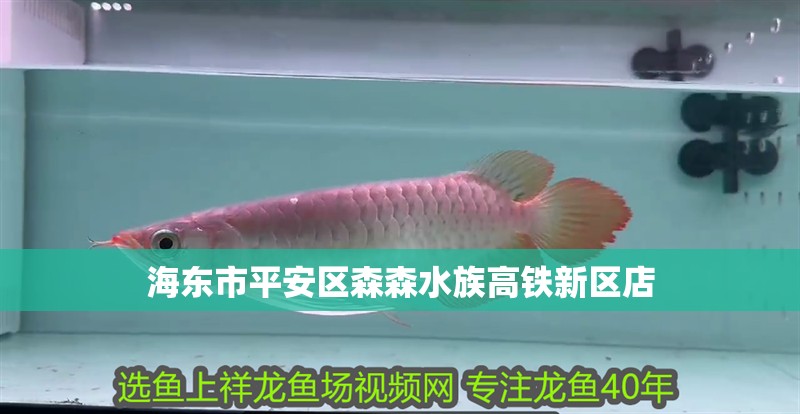 海東市平安區(qū)森森水族高鐵新區(qū)店 海東市平安區(qū)森森水族高鐵新區(qū)店 全國(guó)水族館企業(yè)名錄