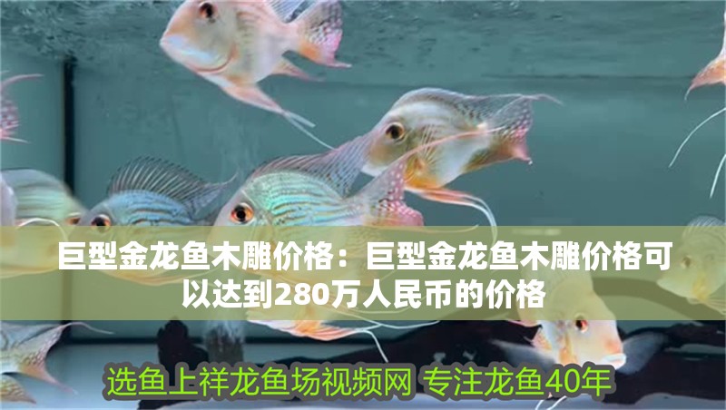 巨型金龍魚木雕價格：巨型金龍魚木雕價格可以達到280萬人民幣的價格