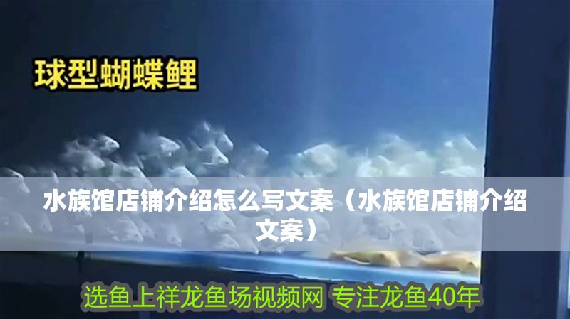 水族館店鋪介紹怎么寫文案（水族館店鋪介紹文案）