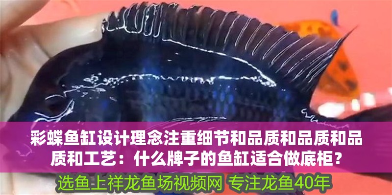 彩蝶魚缸設計理念注重細節和品質和品質和品質和工藝：什么牌子的魚缸適合做底柜？