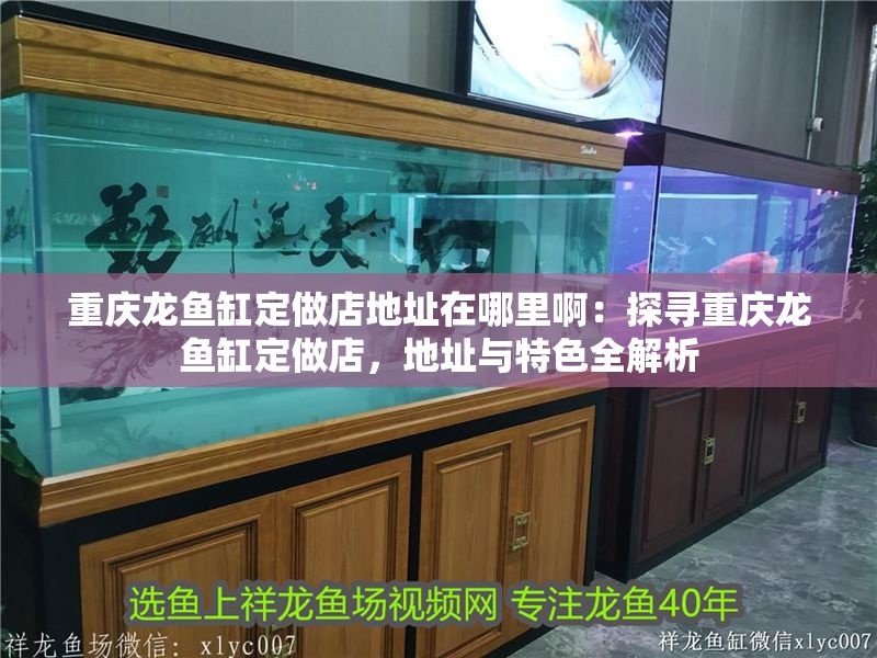 重慶龍魚缸定做店地址在哪里?。禾綄ぶ貞c龍魚缸定做店，地址與特色全解析