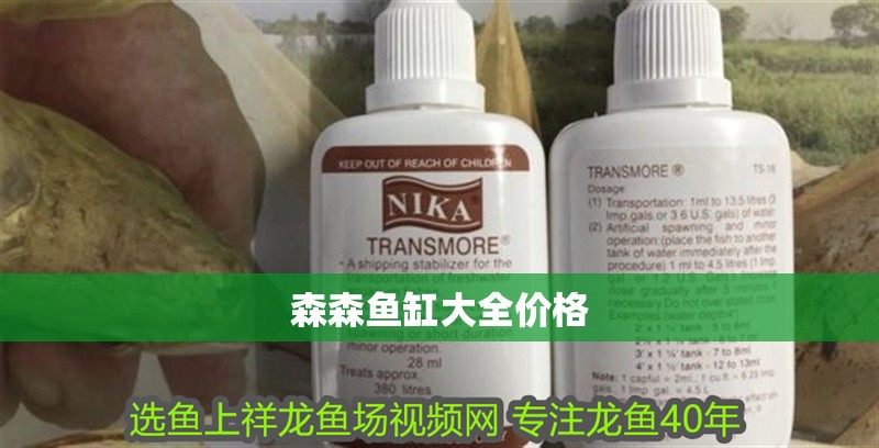 魚缸過濾器選購指南:自制魚缸過濾器魚缸上置過濾器對于養魚愛好者的必備知識 森森魚缸大全價格 魚缸百科 森森魚缸大全價格 森森魚缸大全價格 魚缸百科