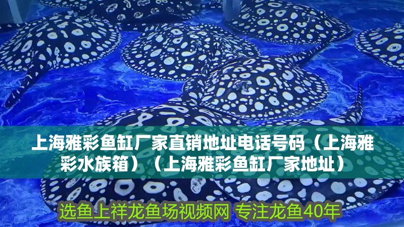 上海雅彩魚缸廠家直銷地址電話號碼（上海雅彩水族箱）（上海雅彩魚缸廠家地址）