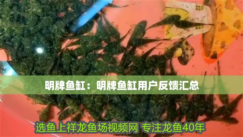 明牌魚缸：明牌魚缸用戶反饋匯總