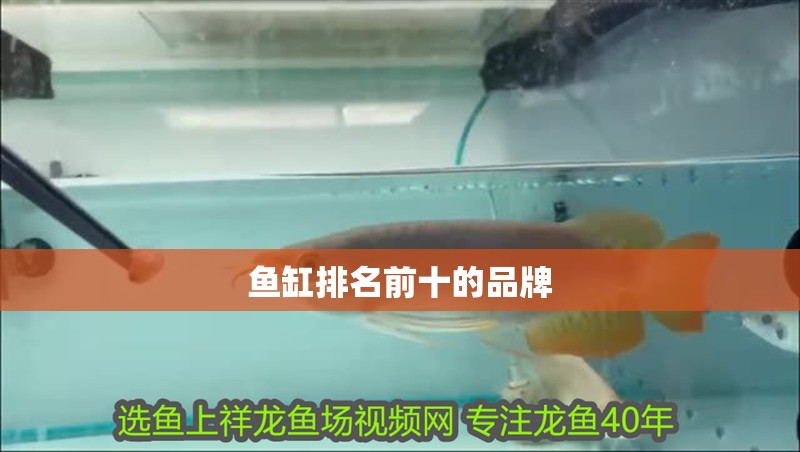 魚缸排名前十的品牌 魚缸排名前十的品牌 魚缸百科