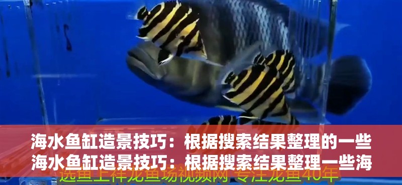 海水魚缸造景技巧：根據搜索結果整理的一些海水魚缸造景技巧：根據搜索結果整理一些海水魚缸造景技巧