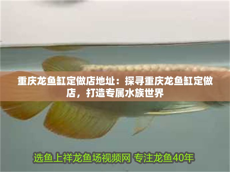 重慶龍魚缸定做店地址：探尋重慶龍魚缸定做店，打造專屬水族世界