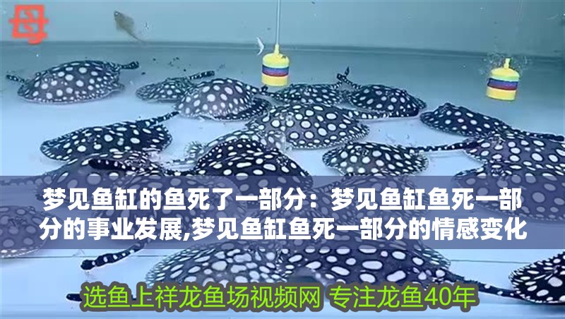 夢見魚缸的魚死了一部分：夢見魚缸魚死一部分的事業(yè)發(fā)展,夢見魚缸魚死一部分的情感變化 夢見魚缸的魚死了一部分：夢見魚缸魚死一部分的事業(yè)發(fā)展,夢見魚缸魚死一部分的情感變化 魚缸百科