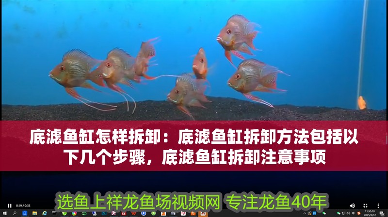 底濾魚缸怎樣拆卸：底濾魚缸拆卸方法包括以下幾個步驟，底濾魚缸拆卸注意事項