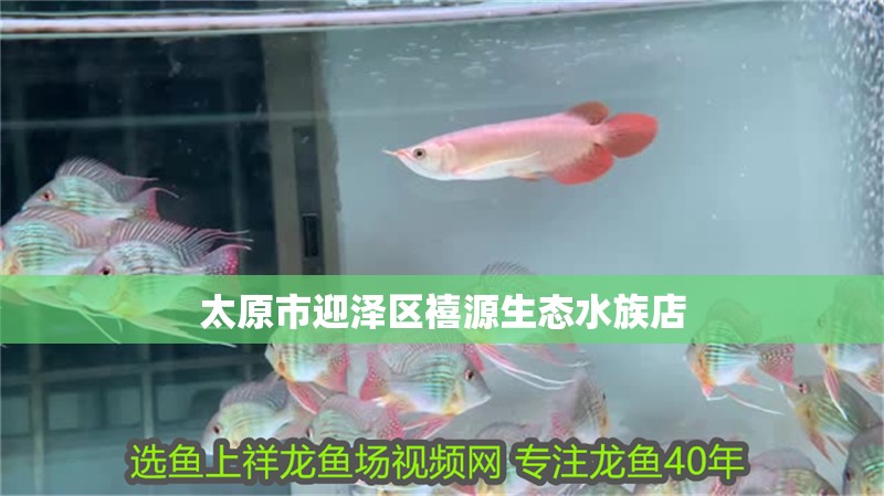 太原市迎澤區禧源生態水族店