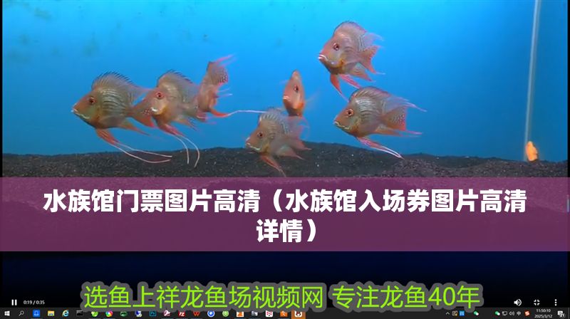 水族館門票圖片高清（水族館入場券圖片高清詳情）