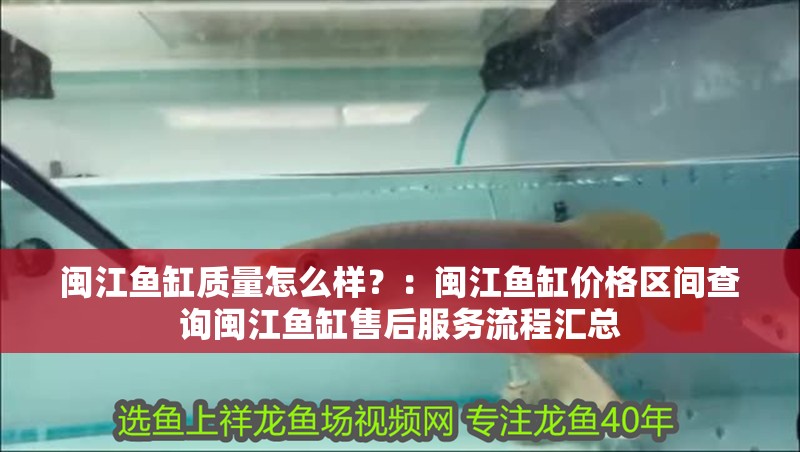 閩江魚缸質量怎么樣？：閩江魚缸價格區間查詢閩江魚缸售后服務流程匯總