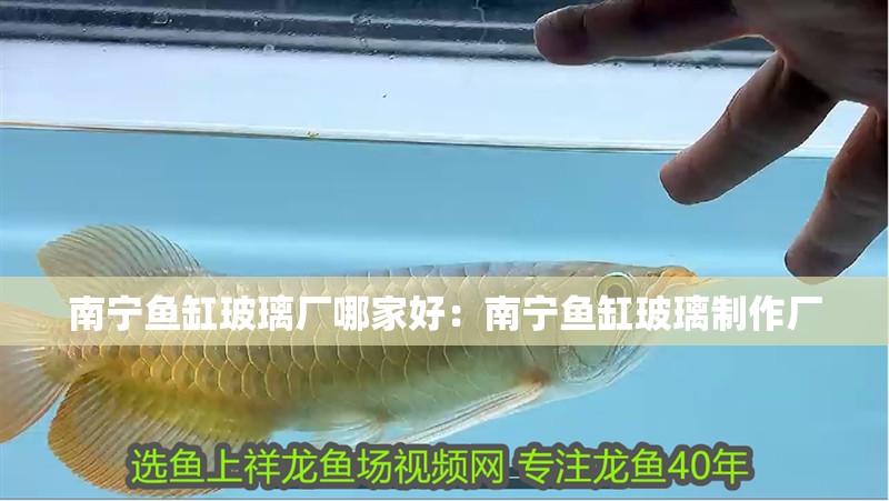南寧魚(yú)缸玻璃廠哪家好：南寧魚(yú)缸玻璃制作廠
