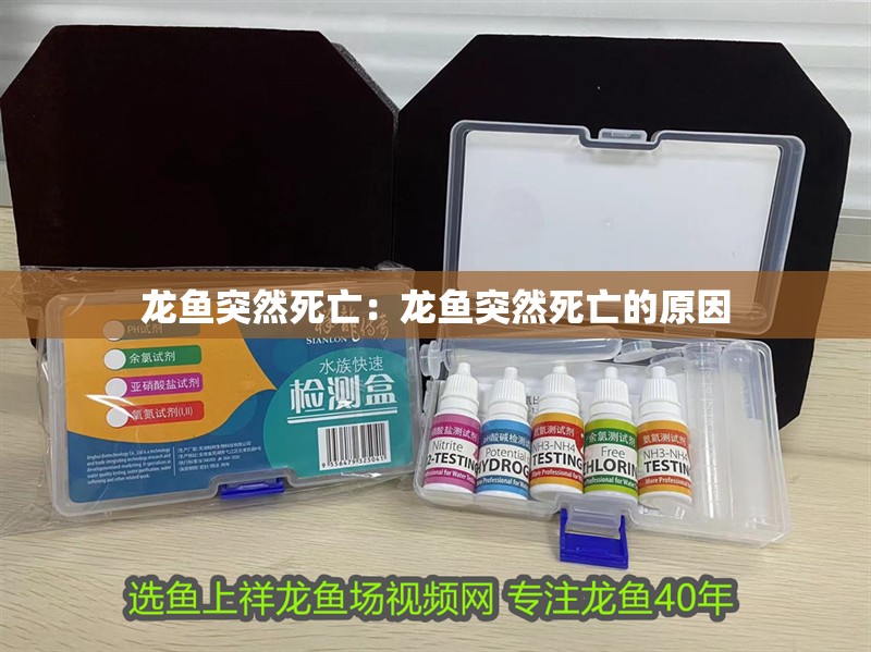 龍魚突然死亡：龍魚突然死亡的原因