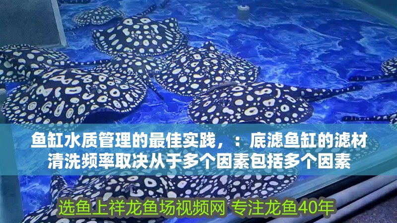 魚缸水質(zhì)管理的最佳實(shí)踐，：底濾魚缸的濾材清洗頻率取決從于多個(gè)因素包括多個(gè)因素
