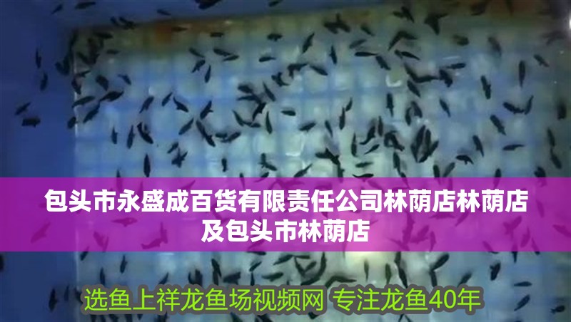 包頭市永盛成百貨有限責任公司林蔭店林蔭店及包頭市林蔭店