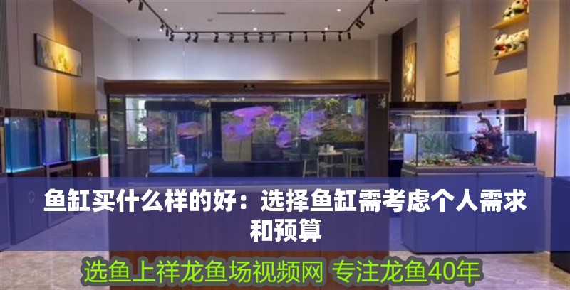 魚缸買什么樣的好：選擇魚缸需考慮個人需求和預算