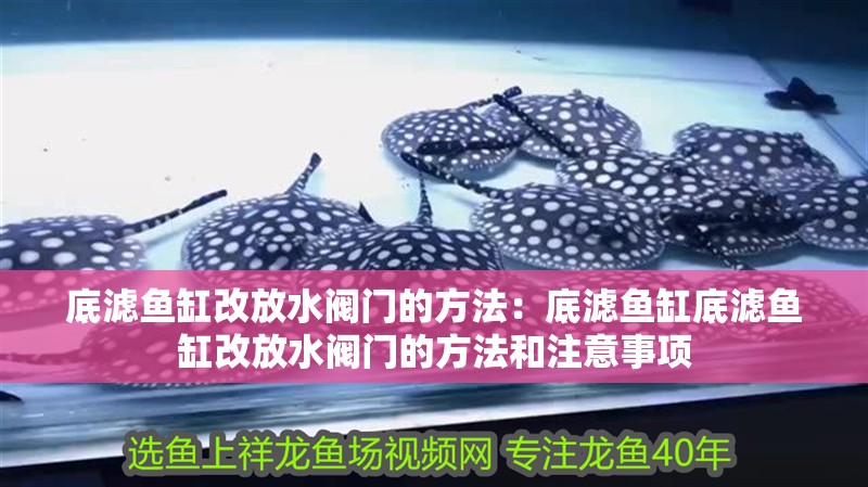底濾魚缸改放水閥門的方法：底濾魚缸底濾魚缸改放水閥門的方法和注意事項 底濾魚缸改放水閥門的方法：底濾魚缸底濾魚缸改放水閥門的方法和注意事項 魚缸百科