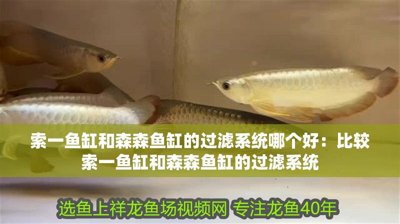索一魚缸和森森魚缸的過濾系統哪個好：比較索一魚缸和森森魚缸的過濾系統 索一魚缸和森森魚缸的過濾系統哪個好：比較索一魚缸和森森魚缸的過濾系統 魚缸百科