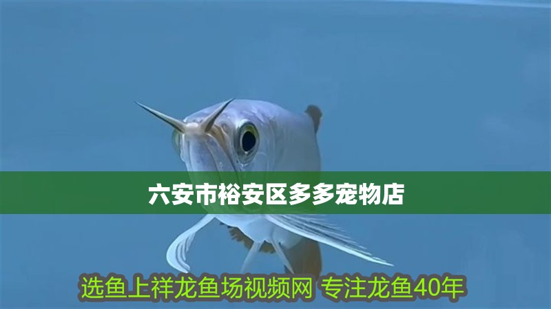 六安市裕安區(qū)多多寵物店