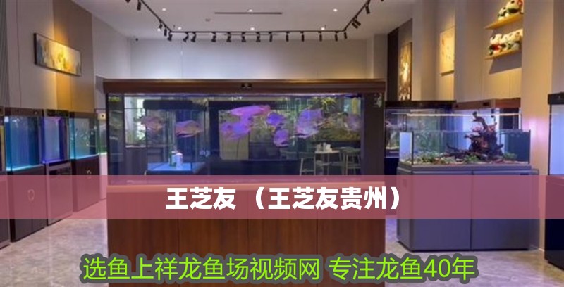王芝友 （王芝友貴州） 王芝友 （王芝友貴州） 全國水族館企業名錄