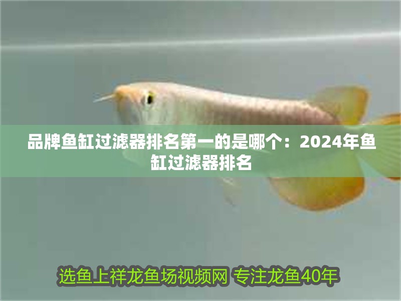 品牌魚缸過濾器排名第一的是哪個：2024年魚缸過濾器排名 品牌魚缸過濾器排名第一的是哪個：2024年魚缸過濾器排名 魚缸百科