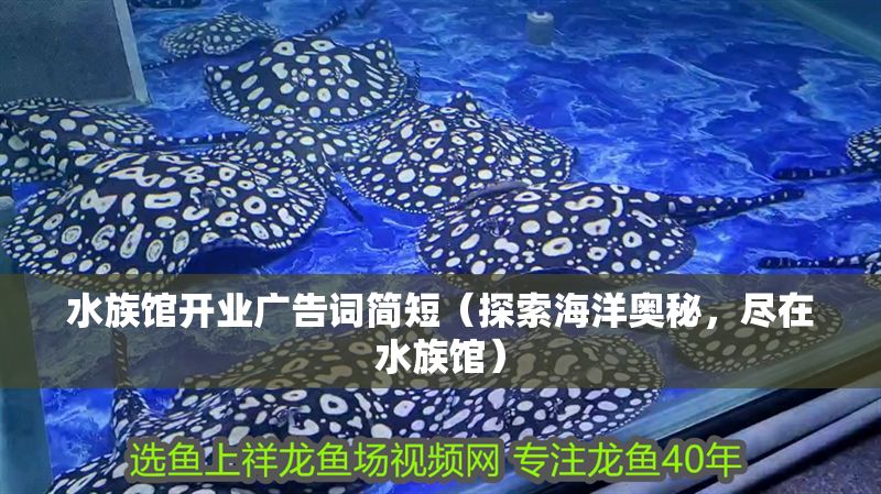 水族館開業(yè)廣告詞簡短（探索海洋奧秘，盡在水族館）