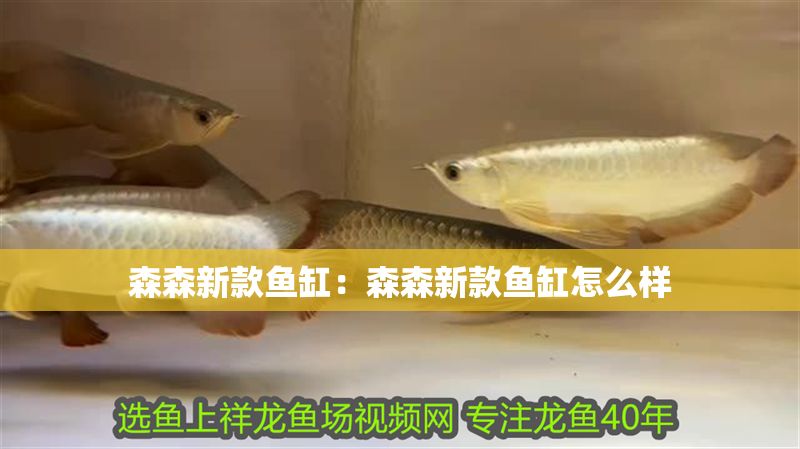 森森新款魚缸：森森新款魚缸怎么樣