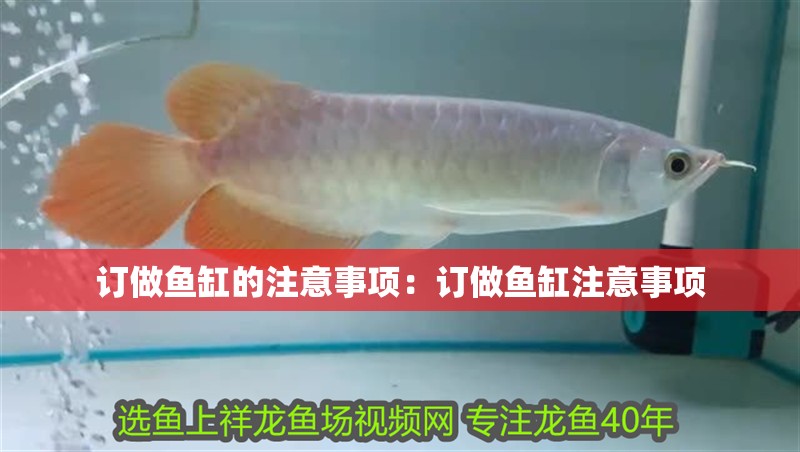 訂做魚缸的注意事項：訂做魚缸注意事項