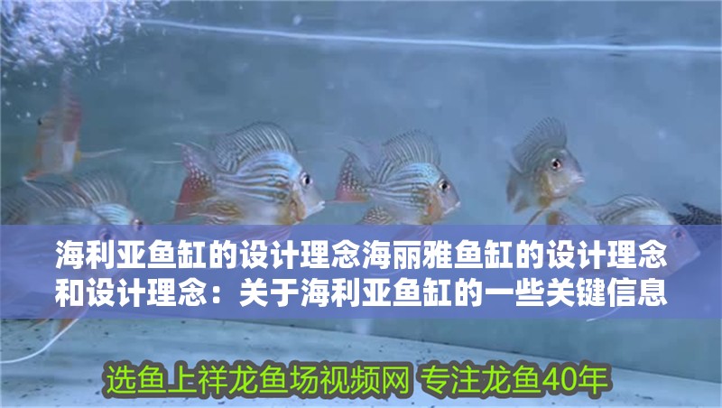 海利亞魚缸的設計理念海麗雅魚缸的設計理念和設計理念：關于海利亞魚缸的一些關鍵信息