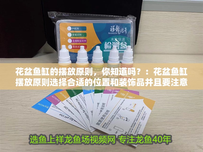 花盆魚缸的擺放原則，你知道嗎？：花盆魚缸擺放原則選擇合適的位置和裝飾品并且要注意日常養(yǎng)護(hù)工作 花盆魚缸的擺放原則，你知道嗎？：花盆魚缸擺放原則選擇合適的位置和裝飾品并且要注意日常養(yǎng)護(hù)工作 魚缸百科