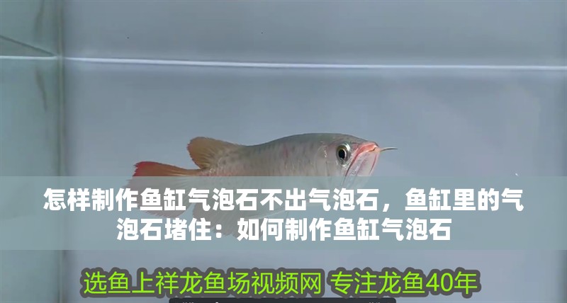 怎樣制作魚缸氣泡石不出氣泡石，魚缸里的氣泡石堵住：如何制作魚缸氣泡石 怎樣制作魚缸氣泡石不出氣泡石，魚缸里的氣泡石堵住：如何制作魚缸氣泡石 魚缸百科