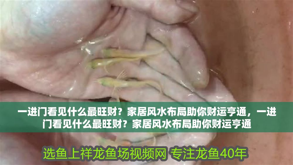 一進(jìn)門(mén)看見(jiàn)什么最旺財(cái)？家居風(fēng)水布局助你財(cái)運(yùn)亨通，一進(jìn)門(mén)看見(jiàn)什么最旺財(cái)？家居風(fēng)水布局助你財(cái)運(yùn)亨通