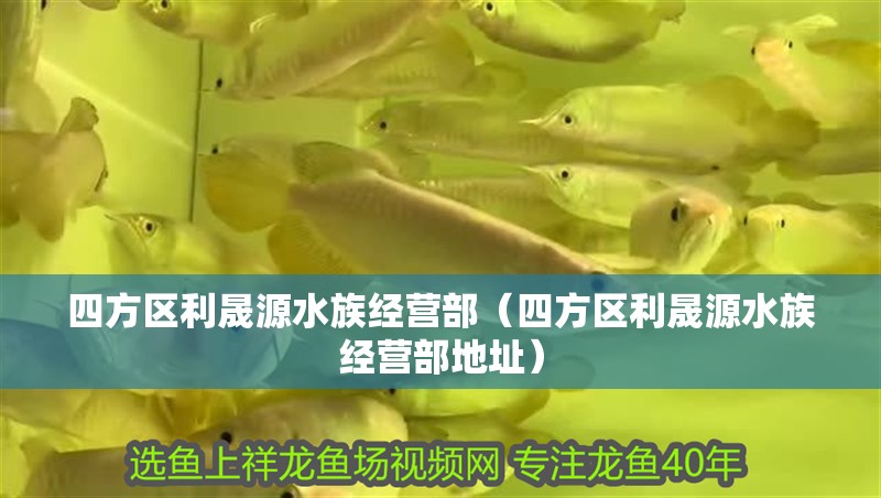 四方區(qū)利晟源水族經(jīng)營部（四方區(qū)利晟源水族經(jīng)營部地址） 四方區(qū)利晟源水族經(jīng)營部（四方區(qū)利晟源水族經(jīng)營部地址） 全國水族館企業(yè)名錄