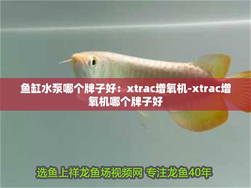 魚缸水泵哪個牌子好：xtrac增氧機-xtrac增氧機哪個牌子好