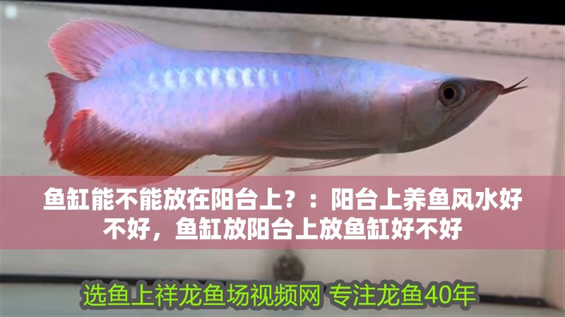 魚缸能不能放在陽臺上？：陽臺上養魚風水好不好，魚缸放陽臺上放魚缸好不好 魚缸能不能放在陽臺上？：陽臺上養魚風水好不好，魚缸放陽臺上放魚缸好不好 魚缸百科